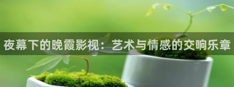 下载金桔影视：夜幕下的晚霞影视：艺术与情感的交响乐章