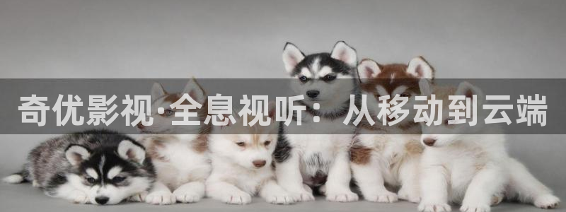 金桔视频下载：奇优影视·全息视听：从移动到云端