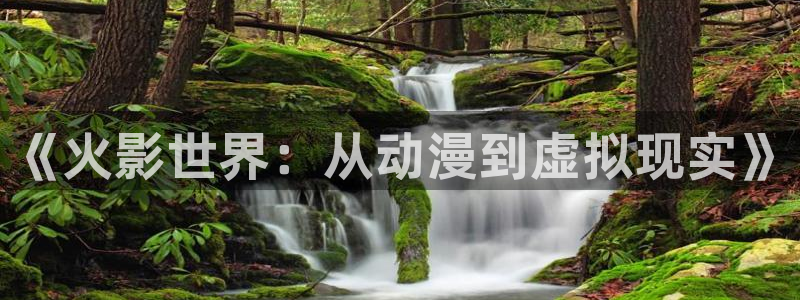 金桔影视：《火影世界：从动漫到虚拟现实》